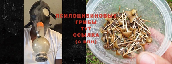 дживик Алексин